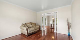 2985 MARSH HAWK Drive Gallery 14