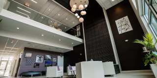 The Corvina Gallery 4