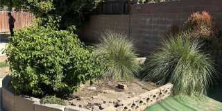 5442 N Ranger 5442 N Ranger Gallery 4