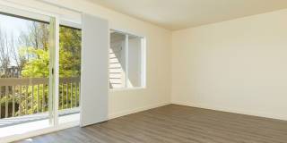 Luke Apartments Gallery 5