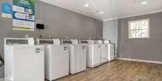 Pear Orchard Gallery 23