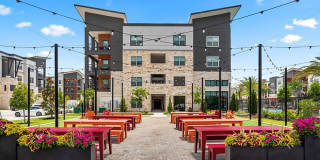 Hue on Greenhouse Gallery 24