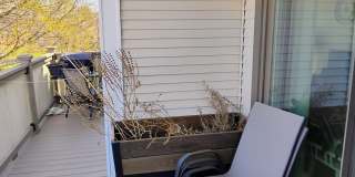 3061 Pheasant Creek Drive Gallery 30