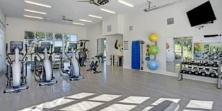 Springs at Hibiscus Crossing Gallery 38