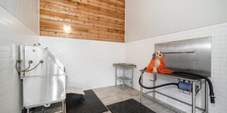 Willowbrook Gallery 13