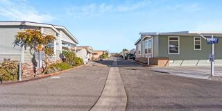 36 Maple Via Gallery 48