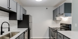 White Pines Gallery 13