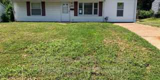 9859 Vickie Pl Gallery 1