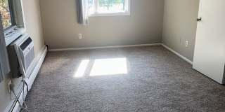 Willows on France Gallery 53