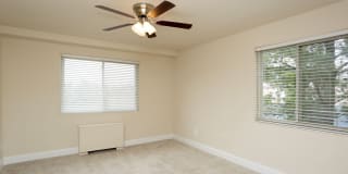 Wood Lee Arms Gallery 21