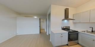University Manor - Newly Renovated Units just a short walk from Campus! Gallery 34