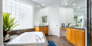 79215 Mandarina Gallery 33