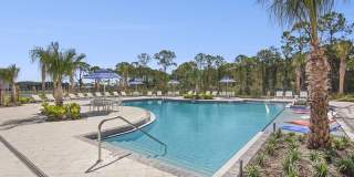 Eastshore Palm Bay Gallery 19