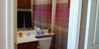 10537 E CEDAR WAXWING Drive Gallery 13