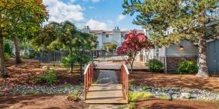 Terra Verde Gallery 17