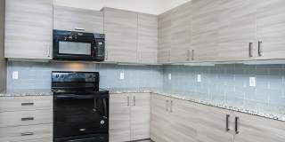 RIZE at Winter Springs Gallery 161