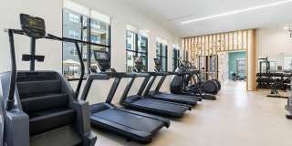 The Amber Gallery 35