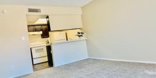 Desert Springs Apartments Gallery 1