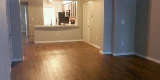 414 Rio Grande Gallery 10