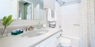 The Lenox Gallery 14