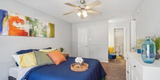 The Element Apartments Gallery 25