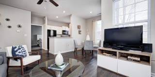 Linden Square Gallery 21