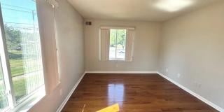 1502 THE WOODS Gallery 19