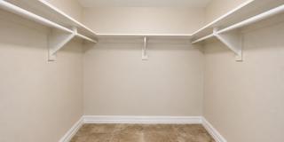 Stunning 3BD/2BTH Home in Holiday! Gallery 11