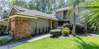 536 PINE FOREST Trail Gallery 1