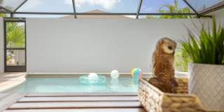 Pool Home for rent Gallery 60