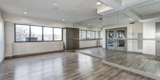 The Mark Alexandria Gallery 29