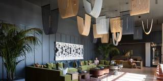 Orlo & Alba Gallery 22