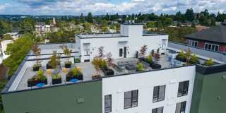 Chronicle Chronicle Gallery 2