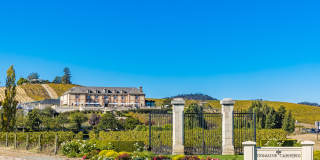 The Braydon Gallery 77