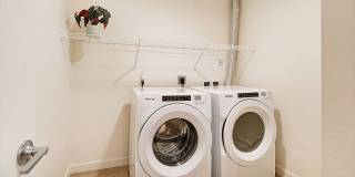 Terrace Station Gallery 39