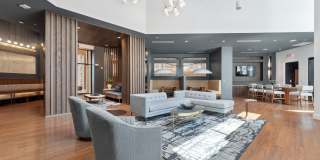Alta Nova Gallery 25