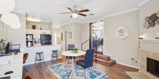 Apex Apartments Apex Apartments Gallery 29