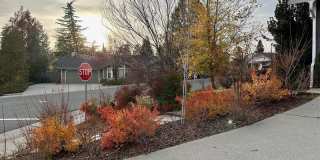 148 Castlemont Drive Gallery 4