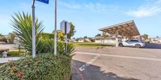 36 Maple Via Gallery 44