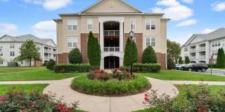 42496 MAYFLOWER Terrace Gallery 1