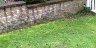 153 Windwood Drive Gallery 7