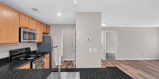 Stuart Hill Gallery 3