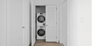 Mily on Green Gallery 23