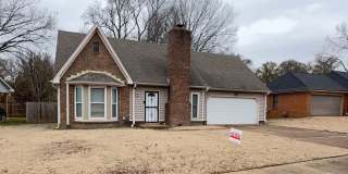 Comfy 3 bedroom 2 bath home Gallery 1