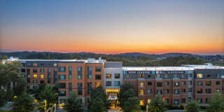 Bell Olmsted Park Gallery 19