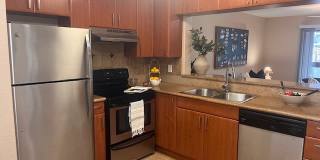 Fountain Lake Bradenton Gallery 44