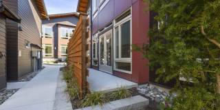 Oliver Bainbridge Island Gallery 21
