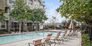 2709 Persimmon Ct Gallery 36