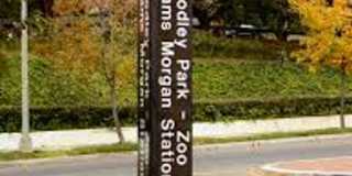 Sunny 1 bedroom/1 bath in Adams Morgan! Gallery 22