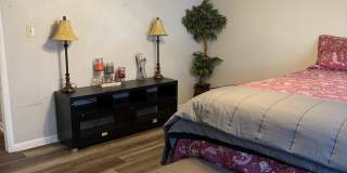 33 Willa Drive - B Gallery 9
